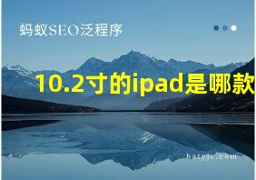 10.2寸的ipad是哪款