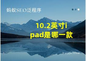 10.2英寸ipad是哪一款