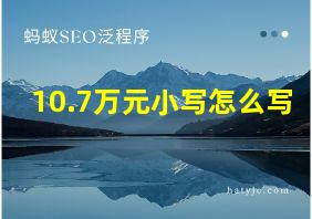 10.7万元小写怎么写