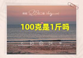 100克是1斤吗