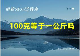 100克等于一公斤吗