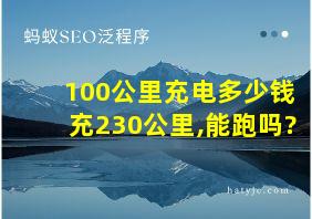 100公里充电多少钱充230公里,能跑吗?