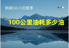 100公里油耗多少油