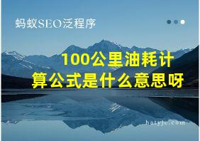 100公里油耗计算公式是什么意思呀