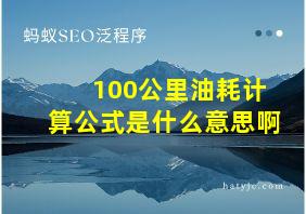 100公里油耗计算公式是什么意思啊