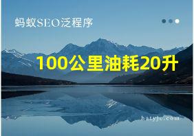 100公里油耗20升