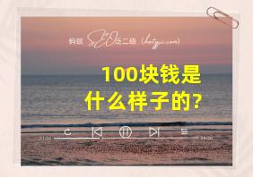 100块钱是什么样子的?