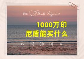 1000万印尼盾能买什么