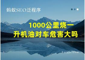 1000公里烧一升机油对车危害大吗