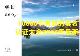 10000个有效的实名认证大全2024年最新