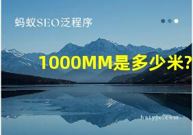 1000MM是多少米?