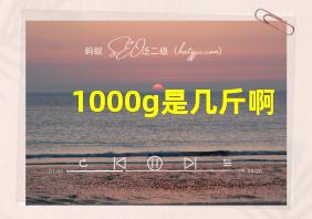 1000g是几斤啊