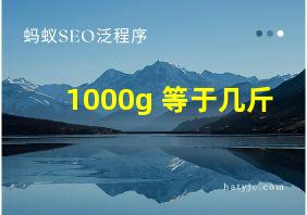 1000g 等于几斤