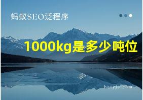 1000kg是多少吨位