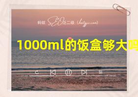 1000ml的饭盒够大吗