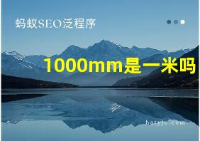 1000mm是一米吗