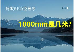 1000mm是几米?