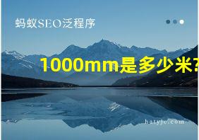 1000mm是多少米?