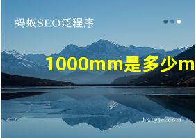 1000mm是多少mi