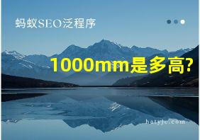 1000mm是多高?