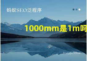 1000mm是1m吗