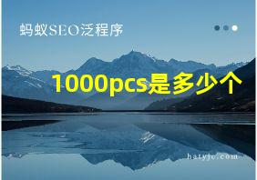 1000pcs是多少个