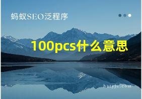 100pcs什么意思