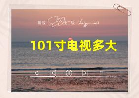 101寸电视多大