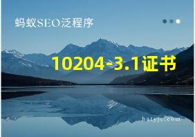 10204-3.1证书