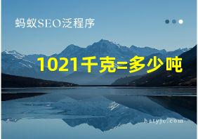 1021千克=多少吨