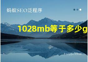 1028mb等于多少g