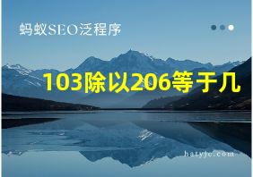 103除以206等于几