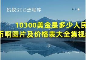 10300美金是多少人民币啊图片及价格表大全集视频