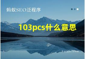 103pcs什么意思