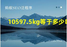 10597.5kg等于多少吨