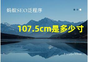 107.5cm是多少寸