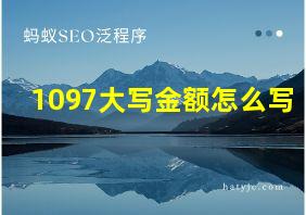 1097大写金额怎么写