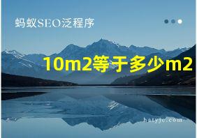 10m2等于多少m2