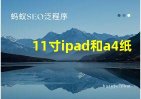 11寸ipad和a4纸