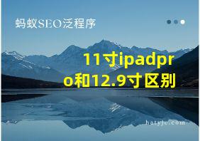 11寸ipadpro和12.9寸区别