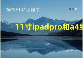 11寸ipadpro和a4纸