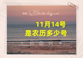 11月14号是农历多少号