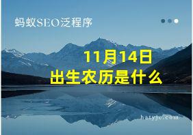 11月14日出生农历是什么