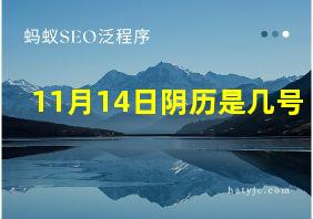 11月14日阴历是几号