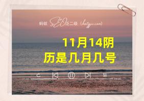 11月14阴历是几月几号