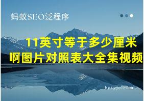 11英寸等于多少厘米啊图片对照表大全集视频