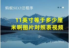 11英寸等于多少厘米啊图片对照表视频