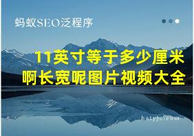 11英寸等于多少厘米啊长宽呢图片视频大全