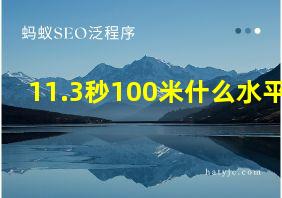 11.3秒100米什么水平