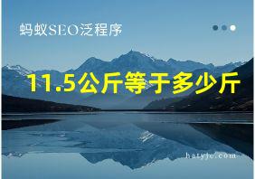 11.5公斤等于多少斤